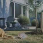Arbre a planter : jeune arbre planté dans un jardin, ombre future