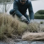 Taille pampa après gelées : jardinier coupe l’herbe de la pampa